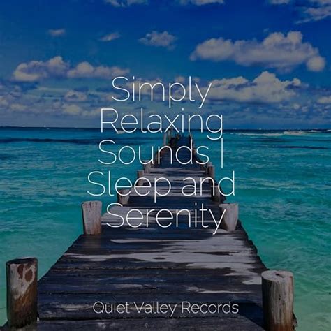 Simply Relaxing Sounds Sleep And Serenity By Nature Sounds On Amazon