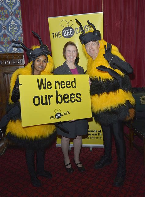 Nia Urges Fresh Start To Save Our Bees Nia Griffith MP