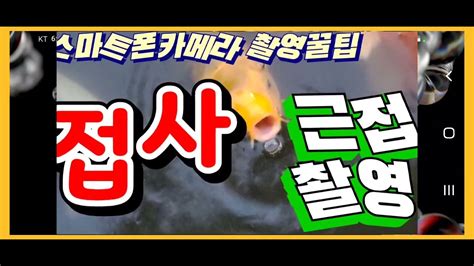 스마트폰카메라 꿀팁 접사 근접 촬영 기법 YouTube