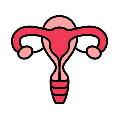 Premium Vector Uterus Set Icon Uterus Ovaries Fallopian Tubes Female