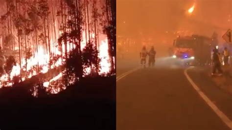 Incendios forestales azotan Coronel Senapred llamó a evacuar