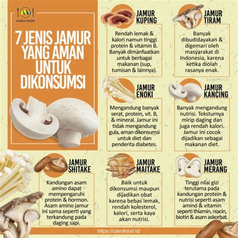 Jenis Jamur Yang Aman Untuk Dikonsumsi Cairo Food