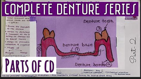 Complete Denture Series Ii Parts Ii Difference Between Acrylic And