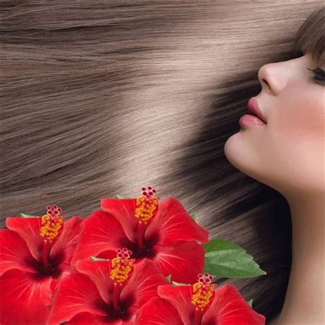 Hibiscus For Hair What Is It What Are The Benefits Blog Nadula