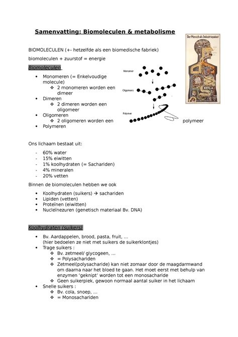 Hoorcollege Biomoleculen Metabolisme Samenvatting Biomoleculen