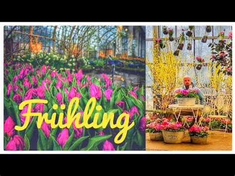 Frühlingsausstellung 4K Palmengarten im Februar YouTube