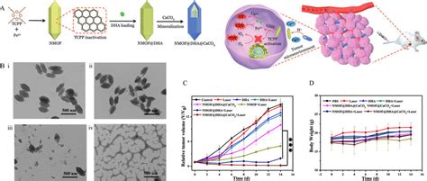 A Schematic Illustration Of The Preparation Of The Nanoplatform And