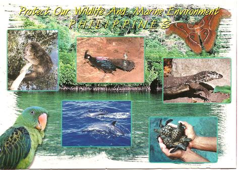 postcard page philippines protect  wildlife  marine