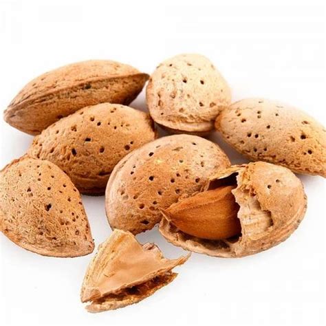 Ever Choice Kashmiri Shelled Almonds Packaging Type PP Bag At Rs 540