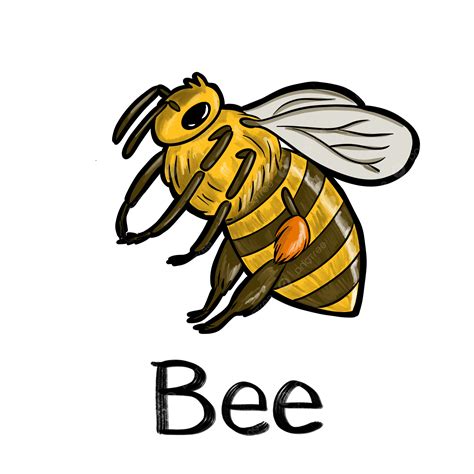 Cute Honey Bee Animal Bee Insect Png Transparent Clipart Image And