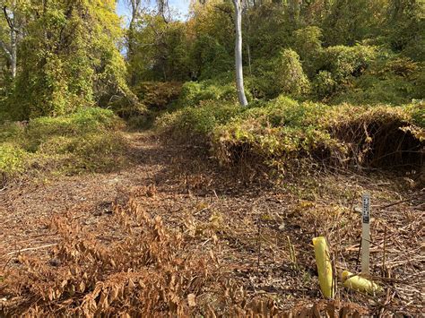 Sylvan Avenue Trail | EngagePgh