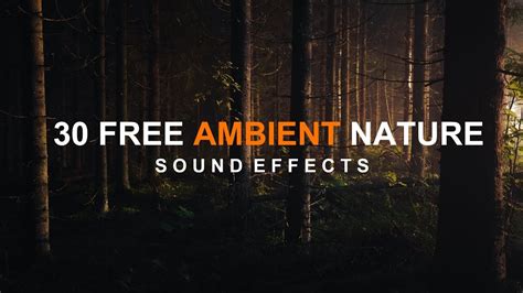 30 Free Ambient Nature Sound Effects Cinematic Nature Sound Effects