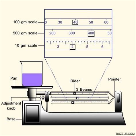 triple beam balance function parts   science struck