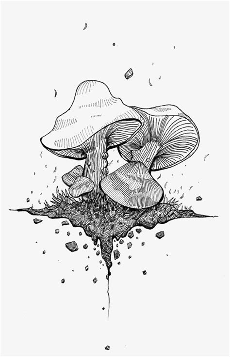 Mushroom Line Drawing at PaintingValley.com | Explore collection of ...