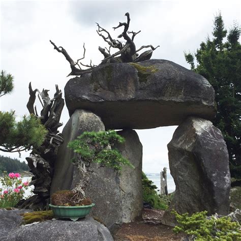 A Goldmine of Great Bonsai | Bonsai Bark