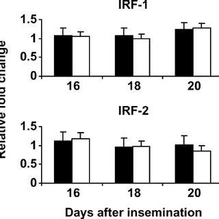 Steady State MRNA Levels For Interferon Stimulated Gene 15 ISG 15