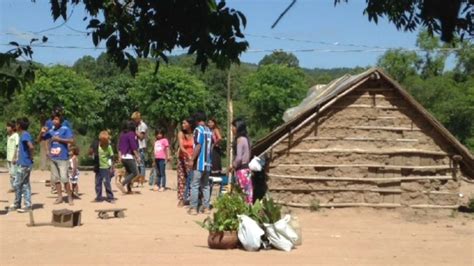 A O De Estado Entrega De Mudas Para Recuperar Ambiente De Aldeias Mby