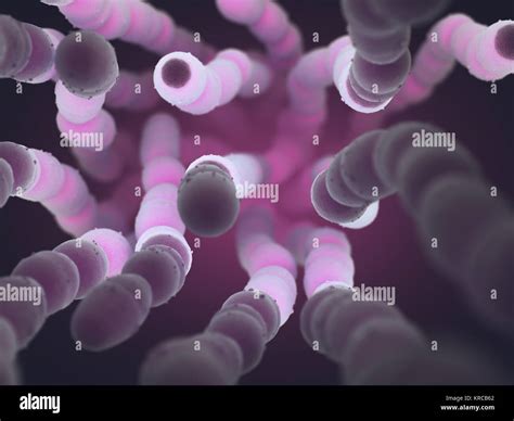 Streptococcus Pneumoniae Fotograf As E Im Genes De Alta Resoluci N Alamy