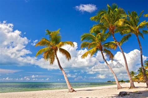 57 Fun Things To Do In Key West Florida TourScanner