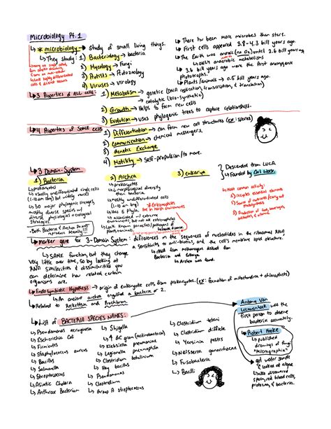 Microbio Exam 1 Study Guide Notes BIO 314 Studocu