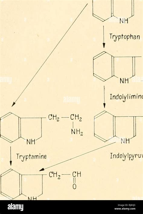 La química y el modo de acción de sustancias de crecimiento vegetal