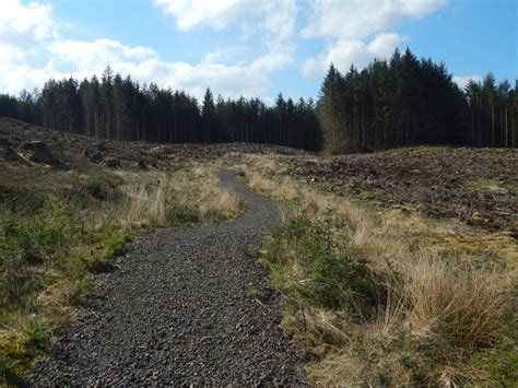 Path Through Cleared Woodland © Lairich Rig Geograph Britain And Ireland