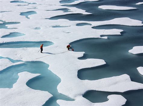 Arctic Ice Melting by 2020 2050 NOAA James Overland and Muyin Wang ...