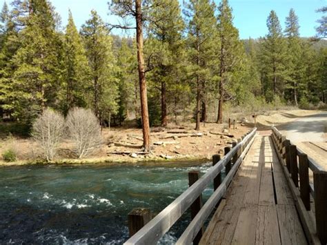 Wizard Falls Trout Hatchery Updated January 2025 30 Photos 7500