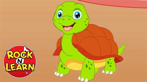 I Had A Little Turtle Nursery Rhyme Song For Kids Youtube