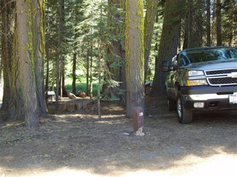 Crane Flat Campground Yosemite National Park Site 218