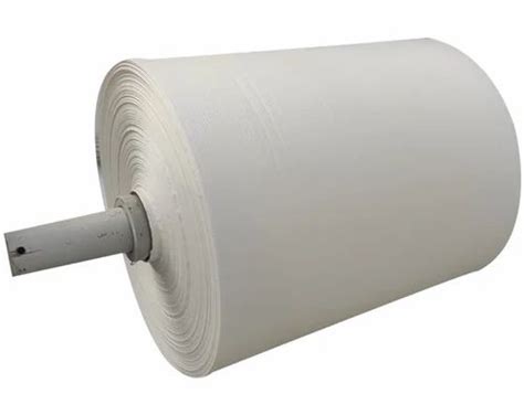 Gsm Non Woven Fabric Roll At Rs Kg Non Woven Fabric In Rajkot