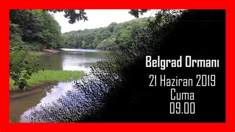 Belgrad Orman Y R Y Fragman Belgrad Forest Walking Fragment