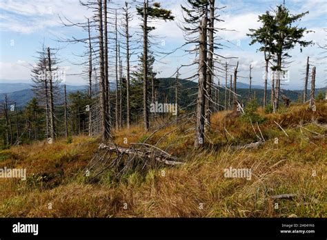 Approach To Malinowska Skala Peak In Szczyrk Poland Stock Photo Alamy