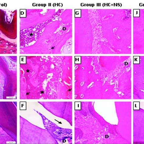 A Photomicrograph Of The Specimens Taken From All Groups A B C