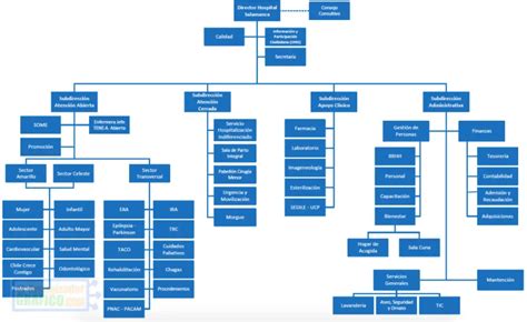 ᐈ Organigrama De Hospital Funciones Público Y Privado