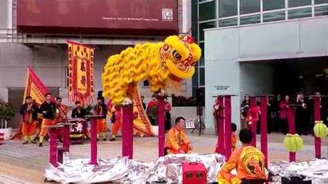 2016 Hong Kong Start Of The New Year Lion Dance Youtube