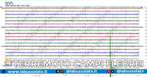 Scossa Di Terremoto Nei Campi Flegrei Avvertita Anche A Napoli La