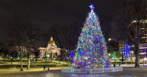 Boston Common Holiday Tree 2024 [12 05 24]