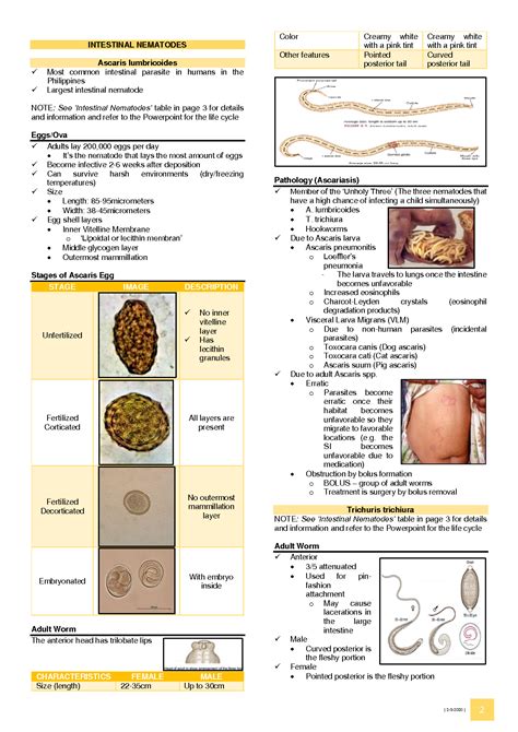 SOLUTION Intestinal Nematodes Lecture Studypool