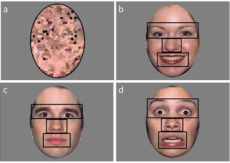 Autism facial expression recognition test – Telegraph