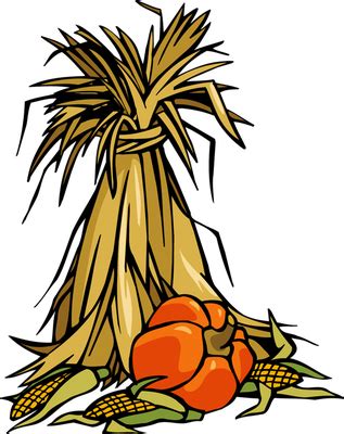 Collection Of Corn Stalk Bundle PNG PlusPNG