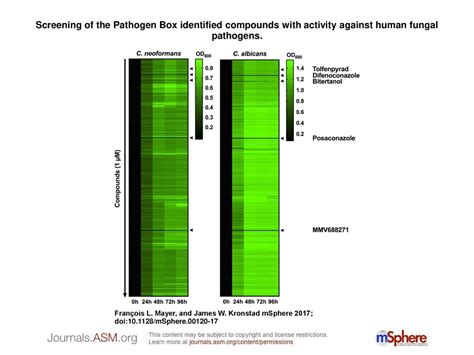 Screening Of The Pathogen Box Identified Compounds With Activity Against Human Fungal Pathogens