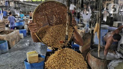 Harga Kedelai Diprediksi Turun Desember Produsen Tahu Tempe Harap