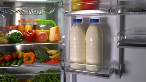 French Door Refrigerator Problems And Solutions Fix It In The Home