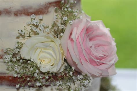 Naked Cake Hochzeitstorte Tortenschlaraffenland