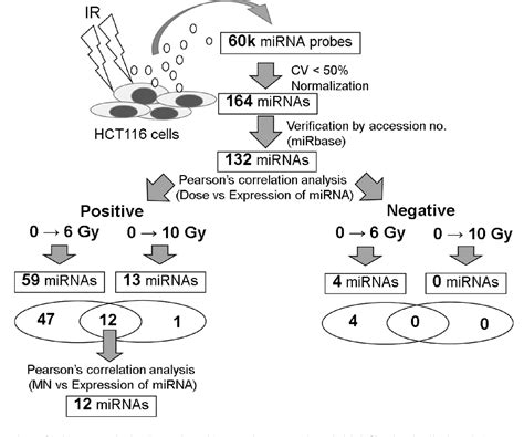 Figure 1 From Dose Dependent Expression Of Extracellular MicroRNAs In