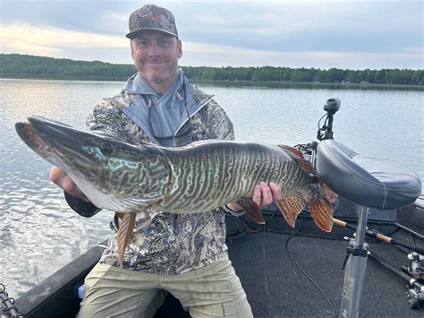 The BEST Tiger Muskie Lures: Finally, Baits Built for the Beast