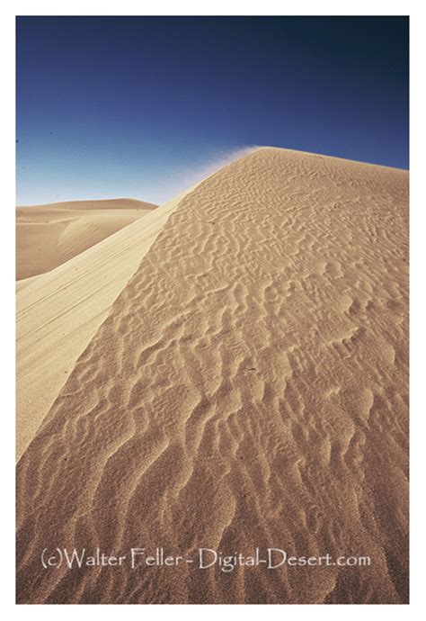 Desert Sand Dune Geology