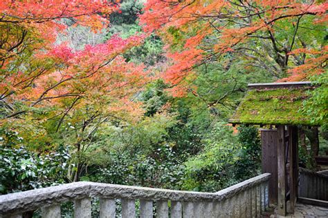 Entrance Of Daihikaku Senkoji Temple At Arashiyama Stock Photo