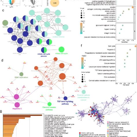 Identification Of Degs And Function Enrichment Analysis A Volcano